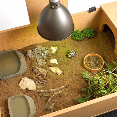 Kilpkonna terrarium - Image 3